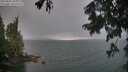 ./images/koeye/fitz-hugh/20250805/fitz-hugh20250805_202009M.jpg