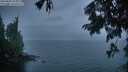 ./images/koeye/fitz-hugh/20250805/fitz-hugh20250805_212009M.jpg