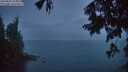 ./images/koeye/fitz-hugh/20250805/fitz-hugh20250805_213009M.jpg