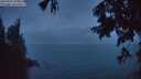 ./images/koeye/fitz-hugh/20250805/fitz-hugh20250805_213509M.jpg