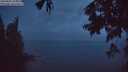 ./images/koeye/fitz-hugh/20250805/fitz-hugh20250805_214507M.jpg