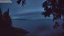 ./images/koeye/fitz-hugh/20250806/fitz-hugh20250806_052011M.jpg
