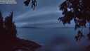./images/koeye/fitz-hugh/20250806/fitz-hugh20250806_052509M.jpg