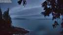 ./images/koeye/fitz-hugh/20250806/fitz-hugh20250806_053009M.jpg
