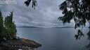./images/koeye/fitz-hugh/20250806/fitz-hugh20250806_061011M.jpg