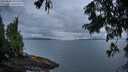./images/koeye/fitz-hugh/20250806/fitz-hugh20250806_061511M.jpg