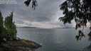 ./images/koeye/fitz-hugh/20250806/fitz-hugh20250806_062511M.jpg