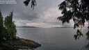./images/koeye/fitz-hugh/20250806/fitz-hugh20250806_063011M.jpg