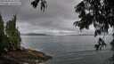 ./images/koeye/fitz-hugh/20250806/fitz-hugh20250806_065010M.jpg