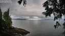 ./images/koeye/fitz-hugh/20250806/fitz-hugh20250806_070511M.jpg
