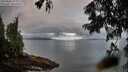 ./images/koeye/fitz-hugh/20250806/fitz-hugh20250806_071011M.jpg