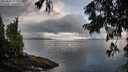 ./images/koeye/fitz-hugh/20250806/fitz-hugh20250806_072010M.jpg