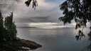 ./images/koeye/fitz-hugh/20250806/fitz-hugh20250806_072511M.jpg