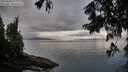 ./images/koeye/fitz-hugh/20250806/fitz-hugh20250806_073009M.jpg