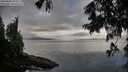 ./images/koeye/fitz-hugh/20250806/fitz-hugh20250806_073510M.jpg