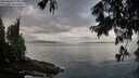 ./images/koeye/fitz-hugh/20250806/fitz-hugh20250806_074011M.jpg
