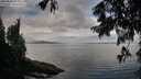 ./images/koeye/fitz-hugh/20250806/fitz-hugh20250806_074510M.jpg