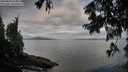 ./images/koeye/fitz-hugh/20250806/fitz-hugh20250806_075012M.jpg