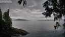 ./images/koeye/fitz-hugh/20250806/fitz-hugh20250806_075511M.jpg
