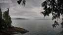 ./images/koeye/fitz-hugh/20250806/fitz-hugh20250806_080508M.jpg