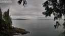 ./images/koeye/fitz-hugh/20250806/fitz-hugh20250806_081010M.jpg