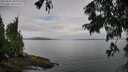 ./images/koeye/fitz-hugh/20250806/fitz-hugh20250806_081511M.jpg
