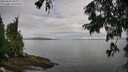 ./images/koeye/fitz-hugh/20250806/fitz-hugh20250806_082011M.jpg