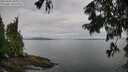 ./images/koeye/fitz-hugh/20250806/fitz-hugh20250806_082510M.jpg