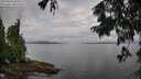 ./images/koeye/fitz-hugh/20250806/fitz-hugh20250806_083510M.jpg