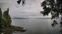 ./images/koeye/fitz-hugh/20250806/fitz-hugh20250806_084011M.jpg