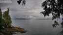 ./images/koeye/fitz-hugh/20250806/fitz-hugh20250806_084512M.jpg