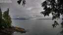 ./images/koeye/fitz-hugh/20250806/fitz-hugh20250806_085012M.jpg