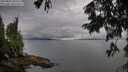 ./images/koeye/fitz-hugh/20250806/fitz-hugh20250806_085510M.jpg