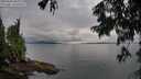 ./images/koeye/fitz-hugh/20250806/fitz-hugh20250806_090010M.jpg