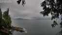 ./images/koeye/fitz-hugh/20250806/fitz-hugh20250806_100509M.jpg
