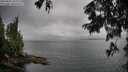 ./images/koeye/fitz-hugh/20250806/fitz-hugh20250806_103010M.jpg