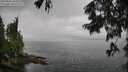 ./images/koeye/fitz-hugh/20250806/fitz-hugh20250806_103511M.jpg