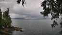 ./images/koeye/fitz-hugh/20250806/fitz-hugh20250806_104511M.jpg