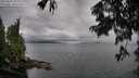 ./images/koeye/fitz-hugh/20250806/fitz-hugh20250806_110011M.jpg