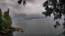 ./images/koeye/fitz-hugh/20250806/fitz-hugh20250806_112010M.jpg