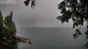 ./images/koeye/fitz-hugh/20250806/fitz-hugh20250806_113511M.jpg
