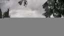 ./images/koeye/fitz-hugh/20250806/fitz-hugh20250806_115011M.jpg