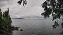 ./images/koeye/fitz-hugh/20250806/fitz-hugh20250806_120510M.jpg