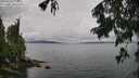 ./images/koeye/fitz-hugh/20250806/fitz-hugh20250806_121511M.jpg
