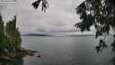 ./images/koeye/fitz-hugh/20250806/fitz-hugh20250806_123012M.jpg