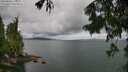 ./images/koeye/fitz-hugh/20250806/fitz-hugh20250806_125510M.jpg