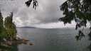 ./images/koeye/fitz-hugh/20250806/fitz-hugh20250806_130510M.jpg