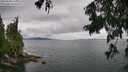 ./images/koeye/fitz-hugh/20250806/fitz-hugh20250806_131510M.jpg
