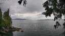 ./images/koeye/fitz-hugh/20250806/fitz-hugh20250806_133510M.jpg