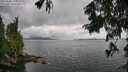 ./images/koeye/fitz-hugh/20250806/fitz-hugh20250806_134011M.jpg